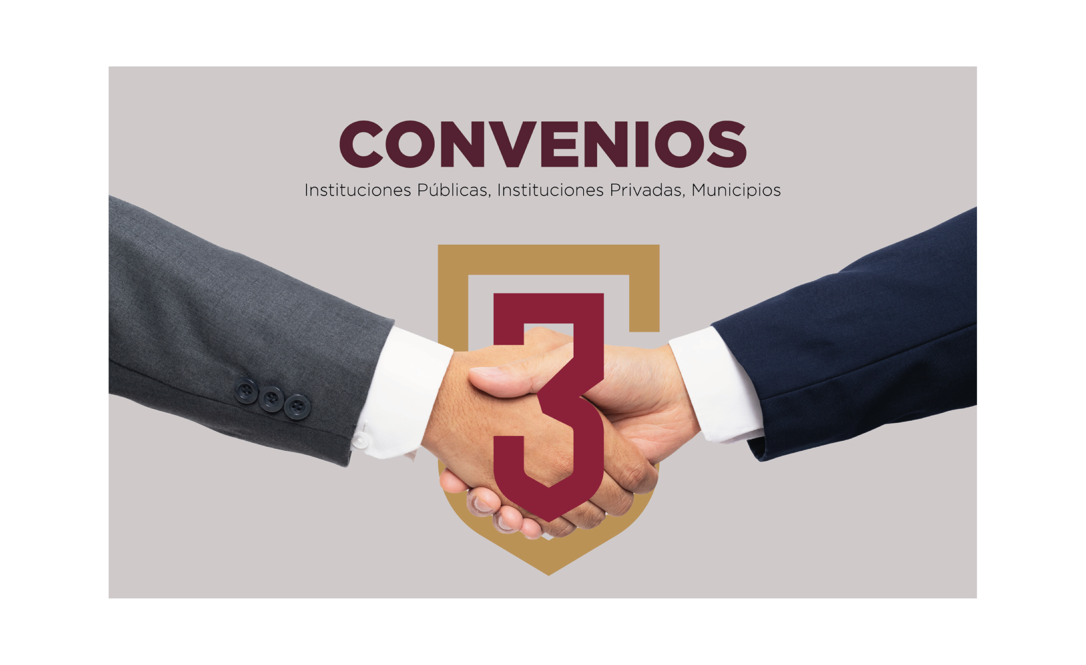 Instituciones públicas, privadas y municipios con convenios activos