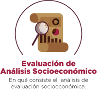 Análisis Socioeconómico
