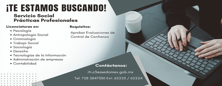 Bolsa de trabajo